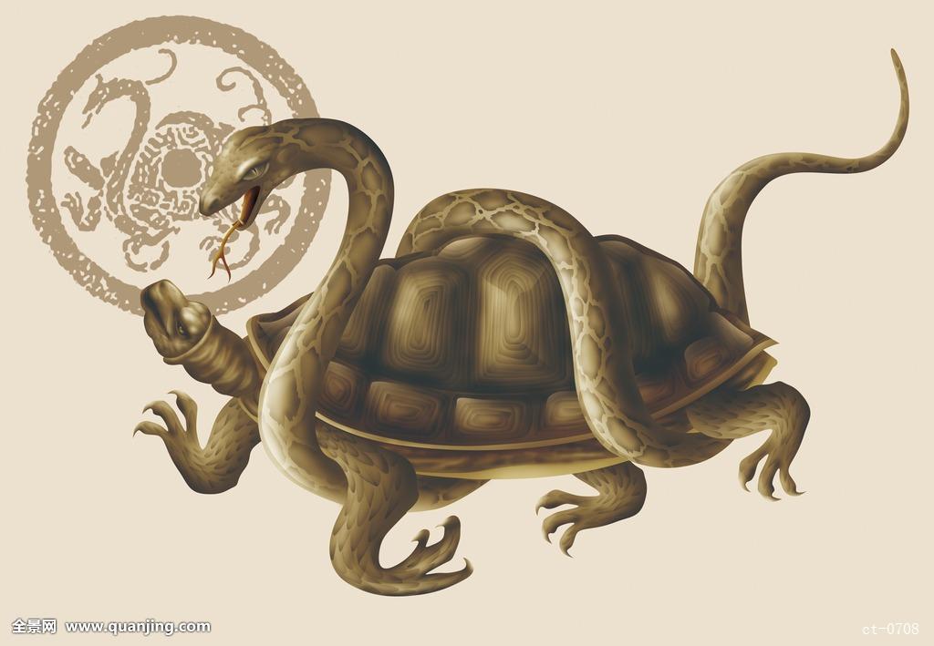 玄武(中国古代神话中的天之四灵之一) 玄武(中国古代神话中的天之四灵之一)