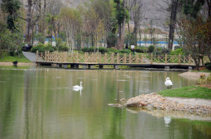 湿地公园工程案例 湿地公园工程案例
