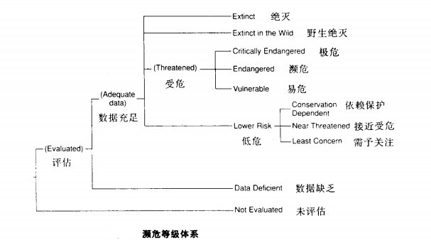 濒危等级 濒危等级