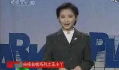 王小丫早年播出形象 王小丫早年播出形象
