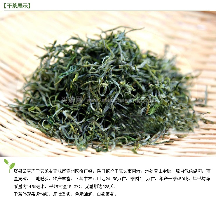 历史名茶——塔泉云雾 历史名茶——塔泉云雾