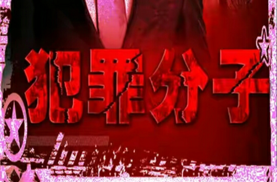 犯罪分子 犯罪分子