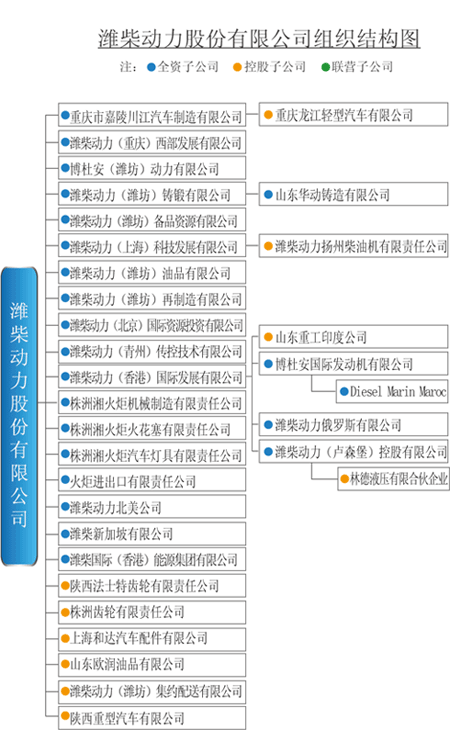 组织结构 组织结构