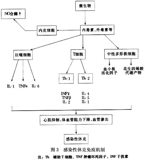 炎症介质 炎症介质