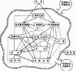 淡水生物学 淡水生物学
