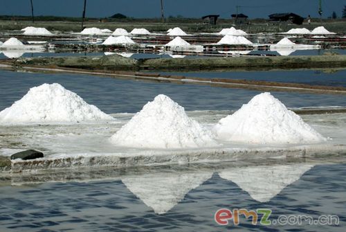 海南的盐场 海南的盐场