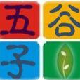 深圳市五穀子商贸有限公司 深圳市五穀子商贸有限公司