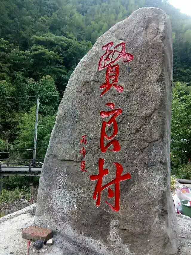 浙江省庆元县贤良镇贤良村 浙江省庆元县贤良镇贤良村