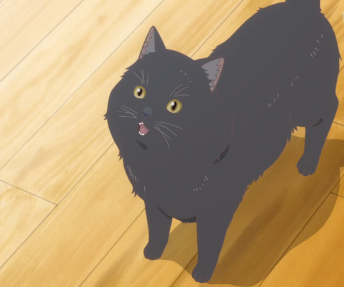 黑猫 黑猫