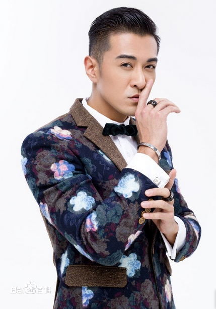华语流行乐男歌手、影视演员 张佑天