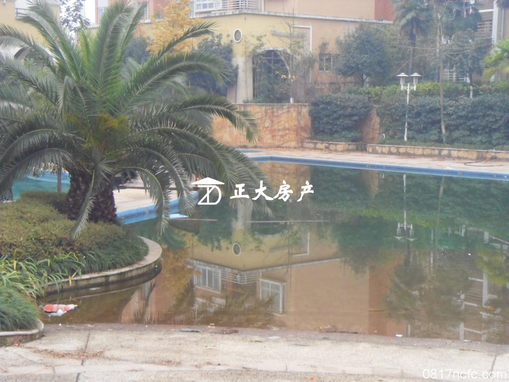 清水县 清水县