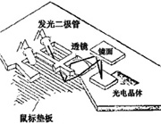 滑鼠(计算机输入设备) 滑鼠(计算机输入设备)