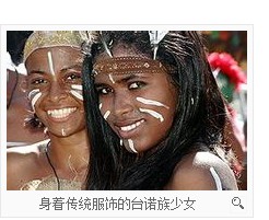 泰诺人 泰诺人