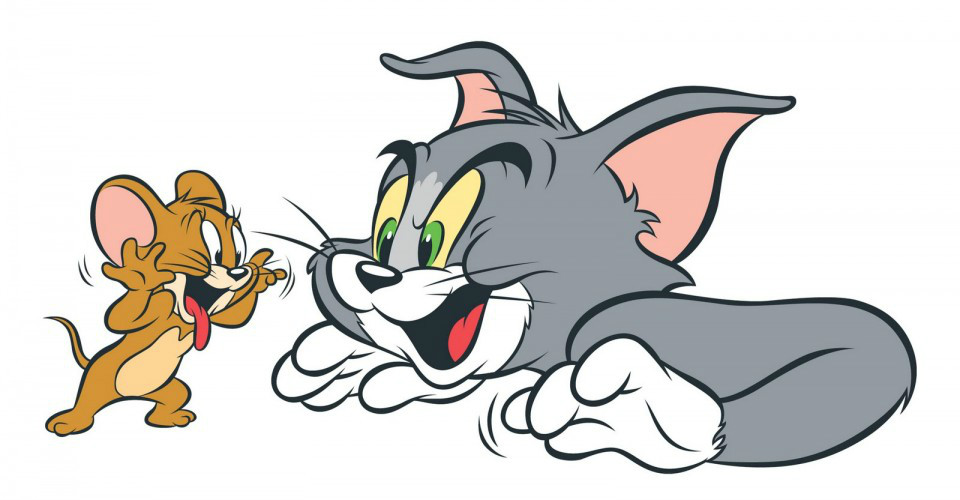 猫和老鼠 猫和老鼠