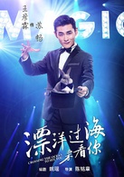 漂洋过海来看你(2015年陈铭章执导电视剧)