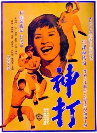狄龙(香港男演员)