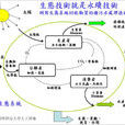 物质循环 物质循环