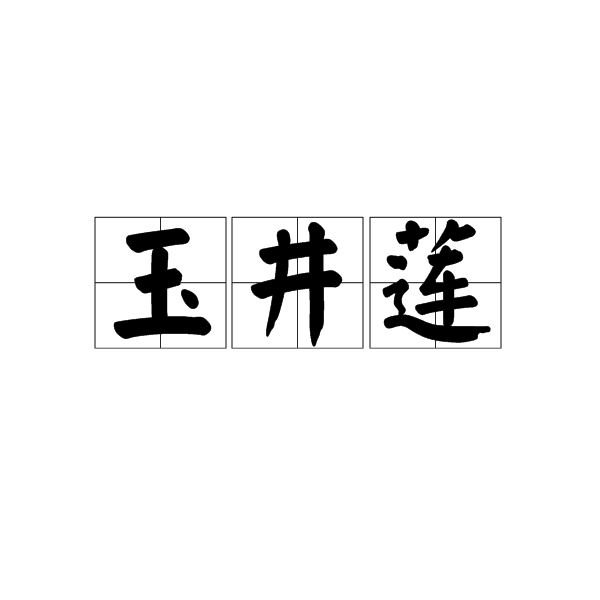 玉井莲 玉井莲