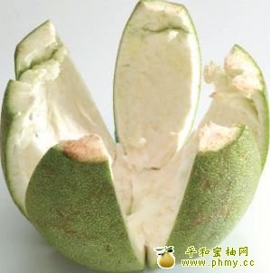 柚皮剥取技巧 柚皮剥取技巧