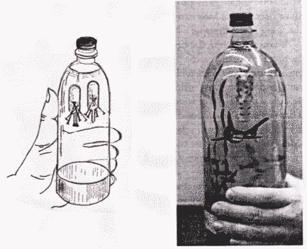 由滴管制作的浮沉子 由滴管制作的浮沉子