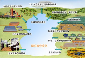 湖泊污染 湖泊污染