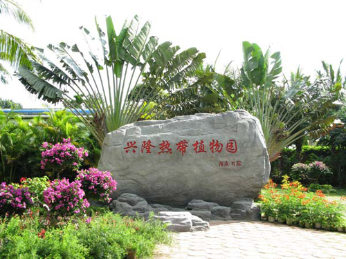 兴隆热带植物园 兴隆热带植物园