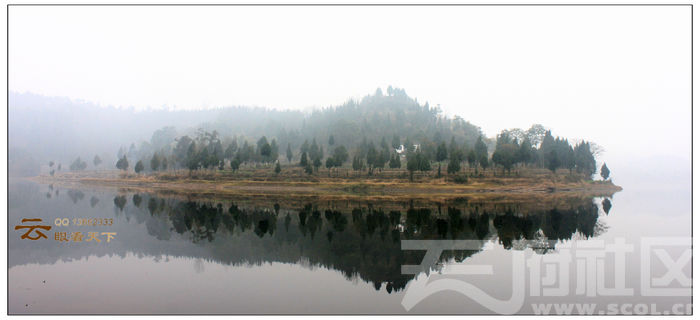 营山湿地公园 营山湿地公园