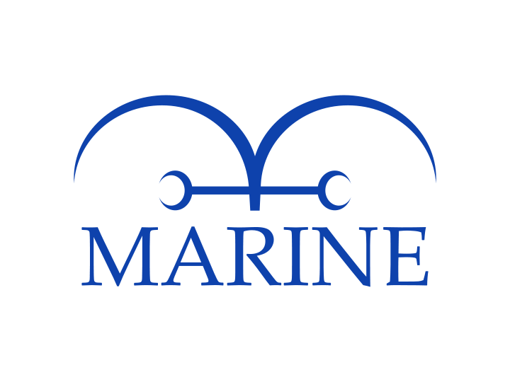 海军（MARINE）