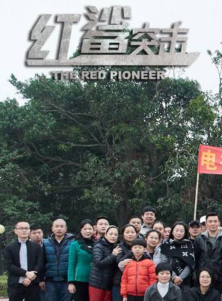 王天泽(中国内地影视童星演员)