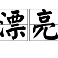 漂亮(汉语词语) 漂亮(汉语词语)