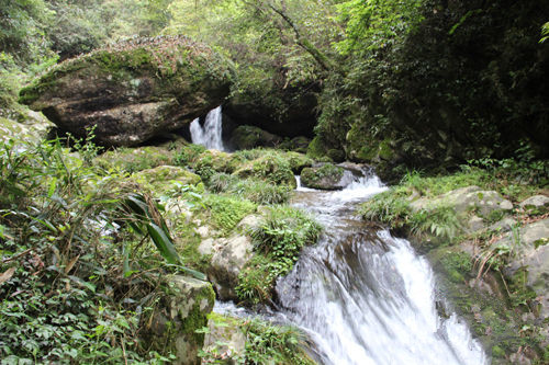 湖南两江峡谷国家森林公园