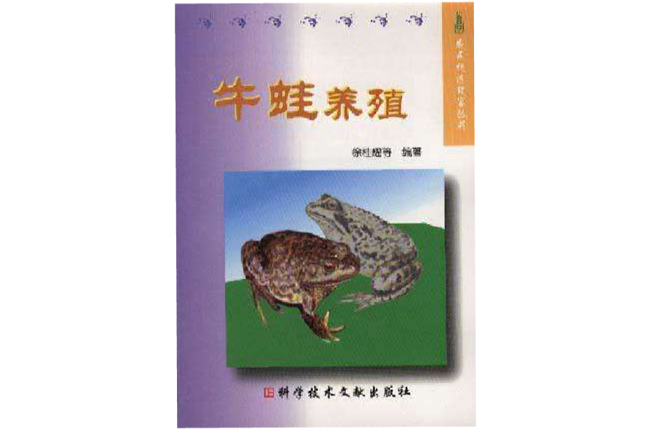 牛蛙养殖 牛蛙养殖