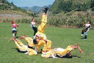 滚山珠 滚山珠
