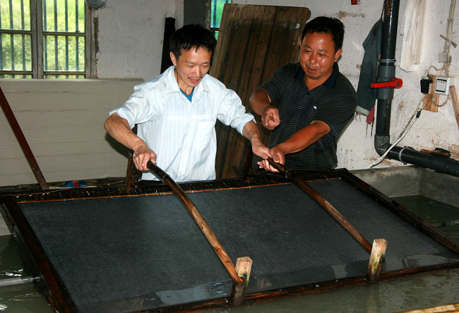 桑皮纸 桑皮纸