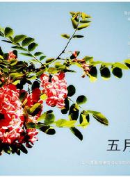 潘仪君
