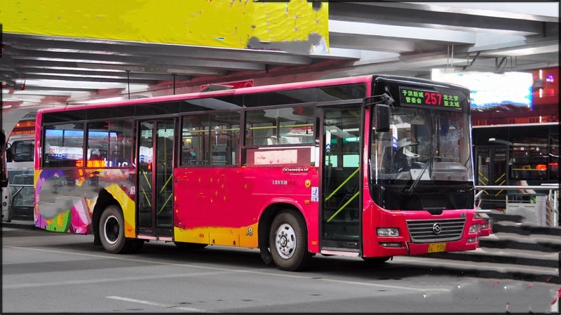 257路历史车型 257路历史车型