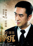 浮沉(白百合2012年主演电视剧)