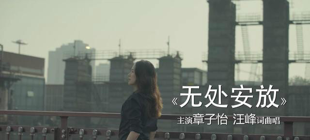 无处安放 无处安放