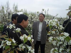 海河镇 海河镇