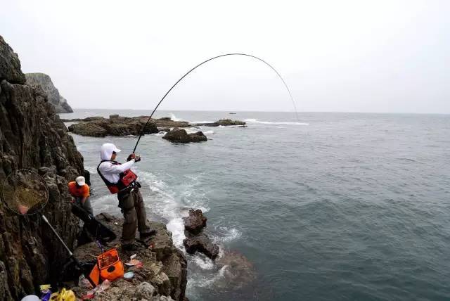 海钓证 海钓证