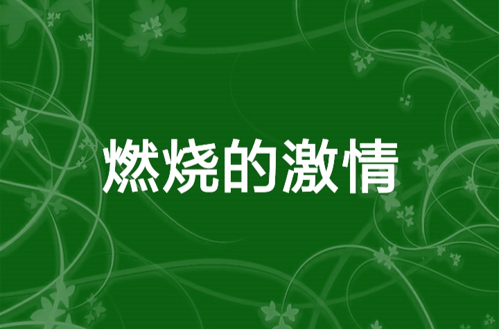 燃烧的激情(小说阅读网的小说)