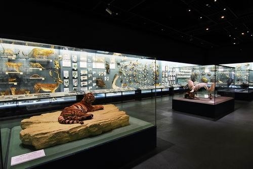 浙江自然博物院 浙江自然博物院