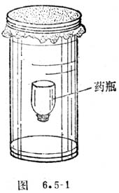 浮沉子 浮沉子