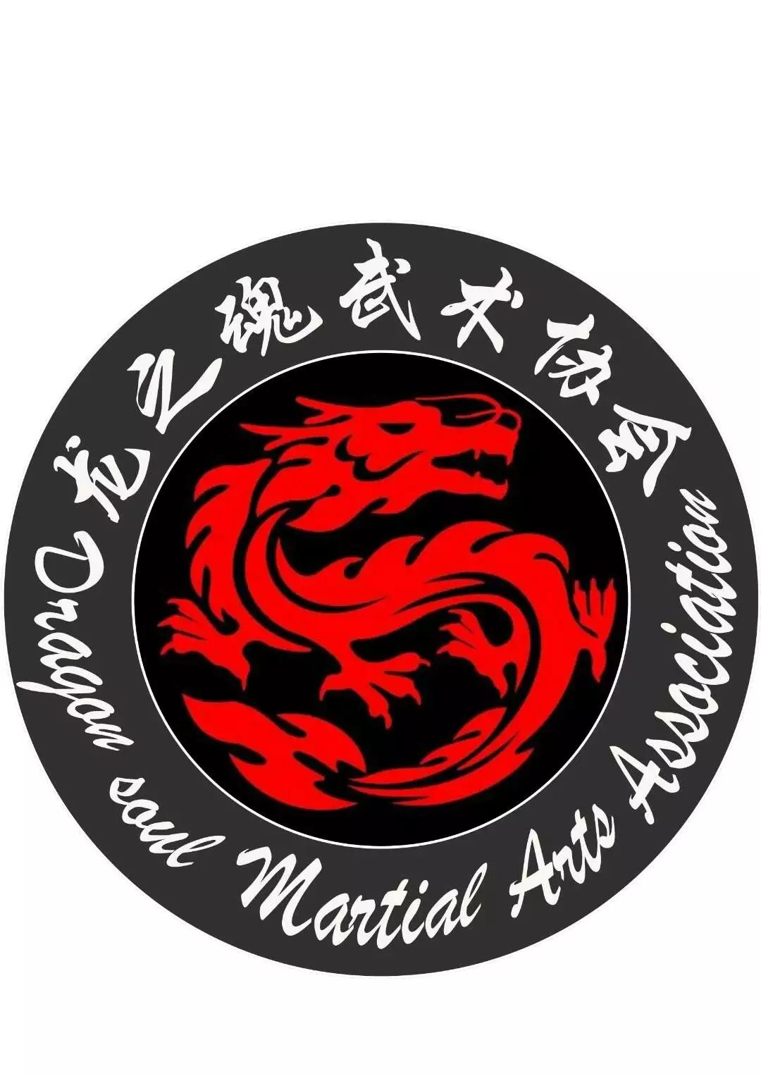 湖南安全技术职业学院龙之魂武术协会 湖南安全技术职业学院龙之魂武术协会