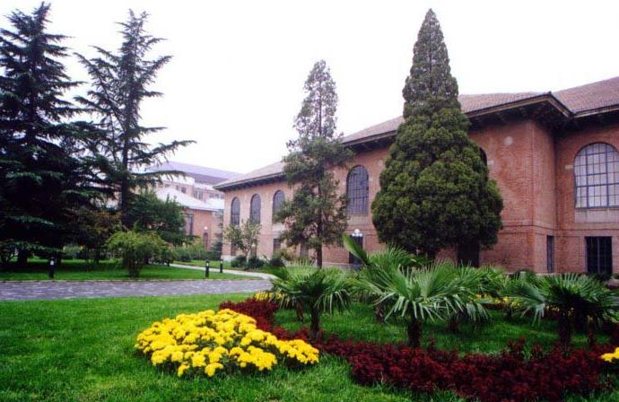 清华大学图书馆夏景 清华大学图书馆夏景