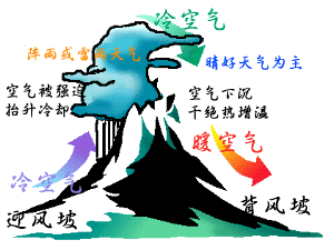 焚风 焚风