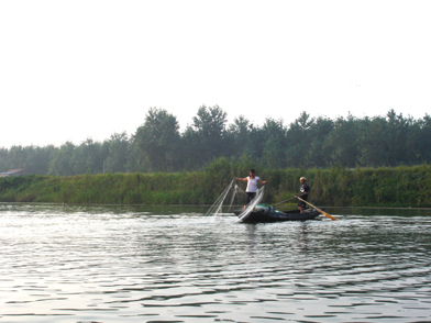 洪湖湿地自然保护区 洪湖湿地自然保护区