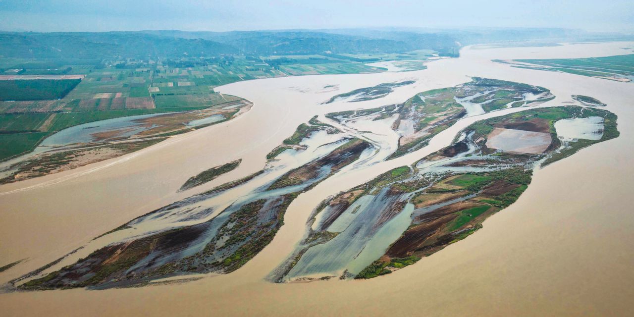 黄河湿地 黄河湿地
