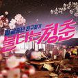 燃烧的青春(燃烧的青春：韩国综艺)