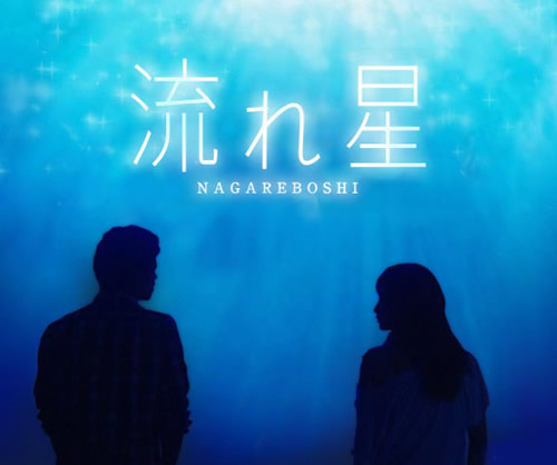 流星(日本2010年竹野内丰主演富士电视剧)